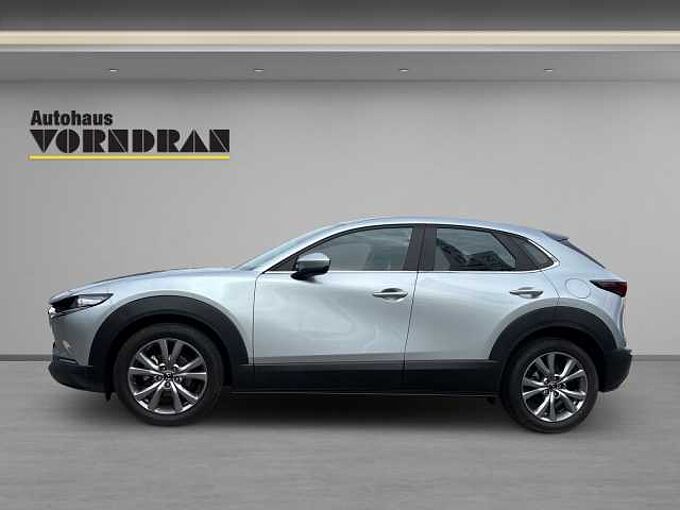 Mazda CX-30 M-Hybrid Selection Bose HUD SHZ 360&deg; Kam. ACC