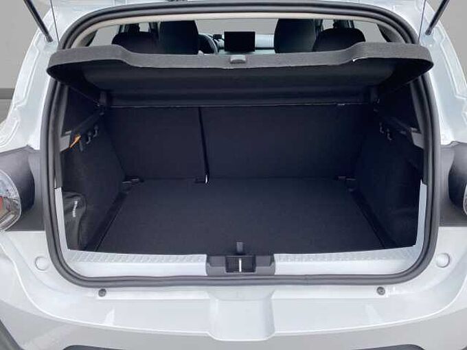 Dacia Sandero Stepway Extreme ECO-G 120 SHZ PDCvo+hi+Kamera 360&deg;