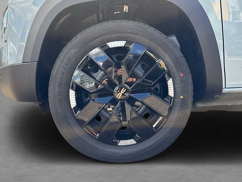 Dacia Spring Extreme 100 EPH hi+Kamera CCS Schuko