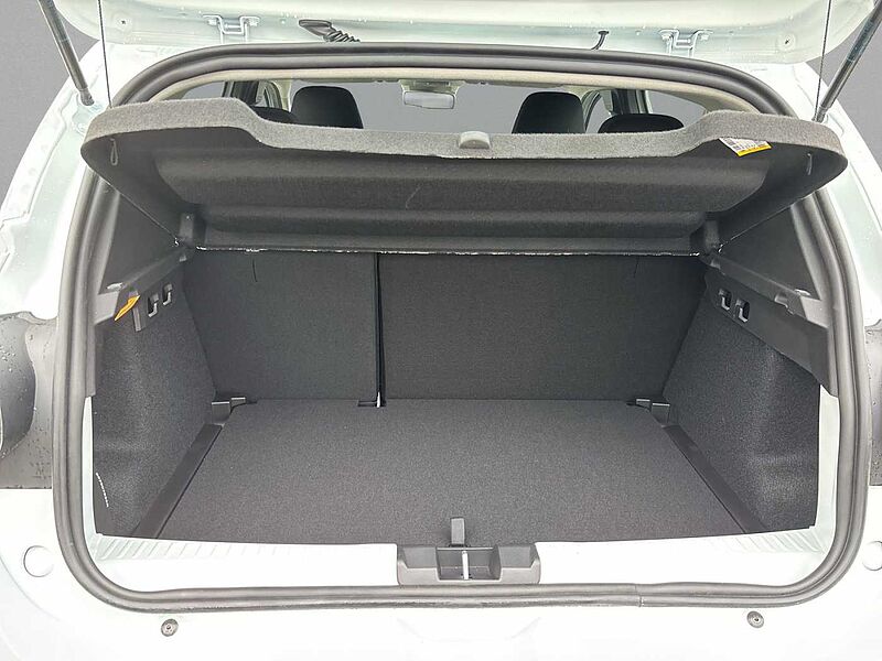 Dacia Sandero Stepway Extreme TCe110 SHZ PDCvo+hi+Kamera 360&deg;