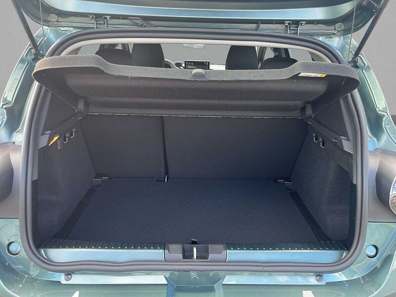 Dacia Sandero Stepway Extreme TCe110 SHZ PDCvo+hi+Kamera 360&deg;